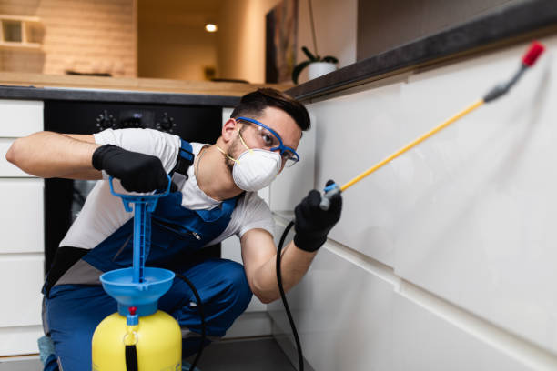 Best Wasp Removal Services  in Glencoe, AL