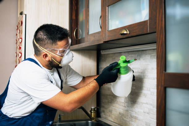 Reliable Glencoe, AL Pest Control Solutions