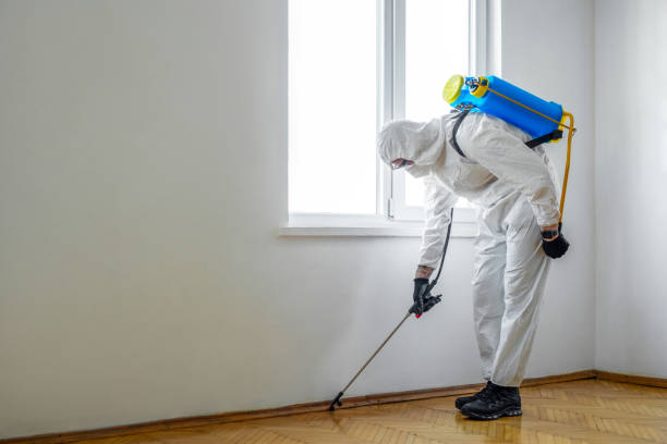 Best Termite Control Services  in Glencoe, AL