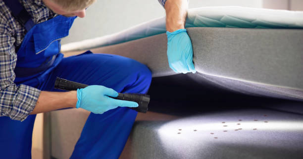 Best Mosquito Control Services  in Glencoe, AL