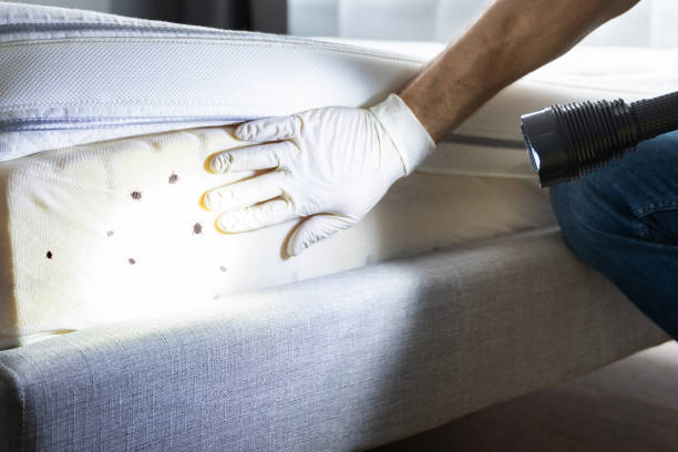 Best Residential Pest Control  in Glencoe, AL