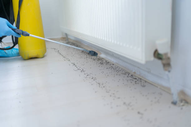 Best Best Pest Control Companies  in Glencoe, AL