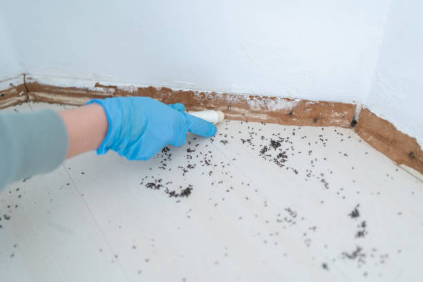 Best Pest Control for Restaurants  in Glencoe, AL