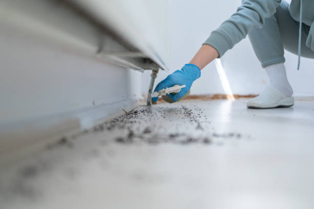 Pest Control Cost in Glencoe, AL