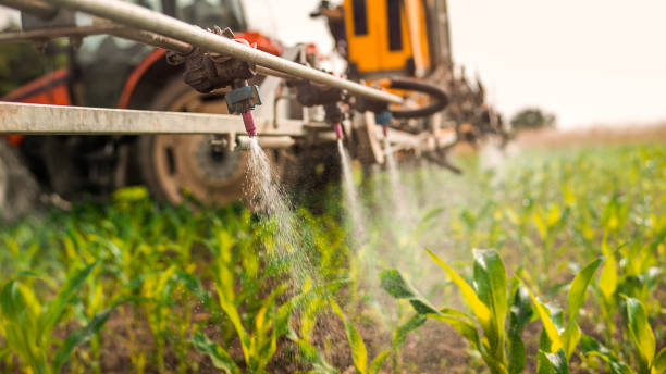 Best Commercial Pest Control Services  in Glencoe, AL