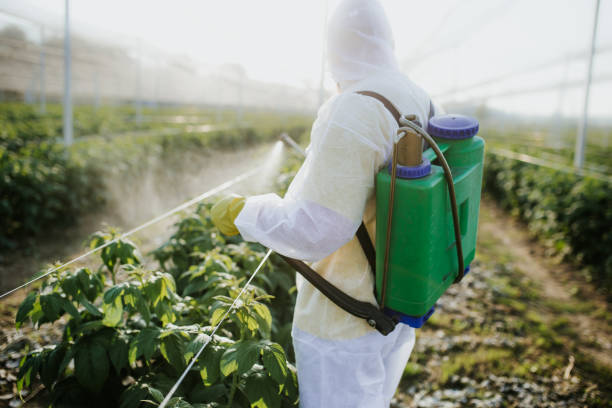 Best Wildlife Control Services  in Glencoe, AL